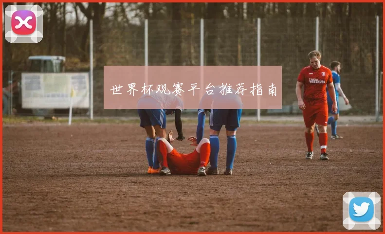世界杯观赛平台推荐指南