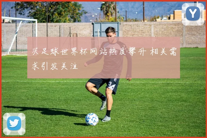 买足球世界杯网站热度攀升 相关需求引发关注