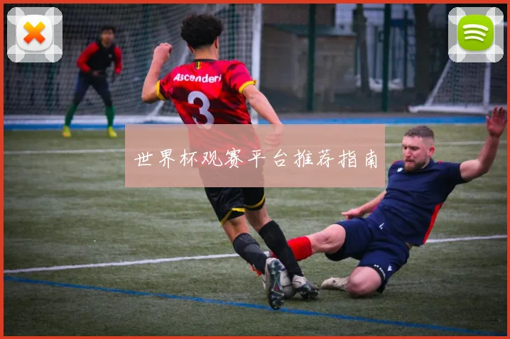 世界杯观赛平台推荐指南