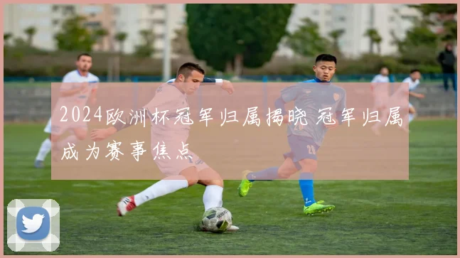 2024欧洲杯冠军归属揭晓 冠军归属成为赛事焦点