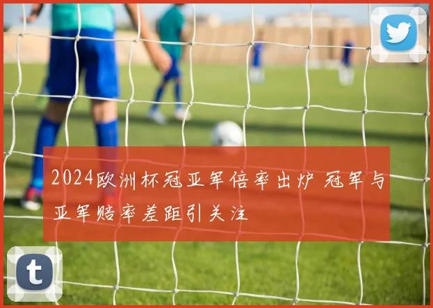 2024欧洲杯冠亚军倍率出炉 冠军与亚军赔率差距引关注