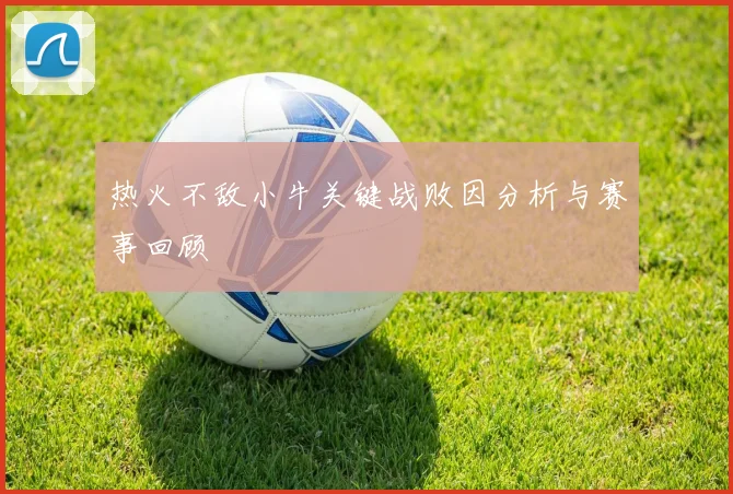热火不敌小牛关键战败因分析与赛事回顾