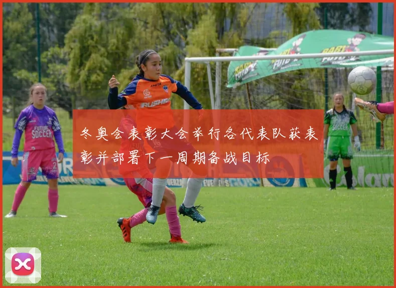 冬奥会表彰大会举行各代表队获表彰并部署下一周期备战目标