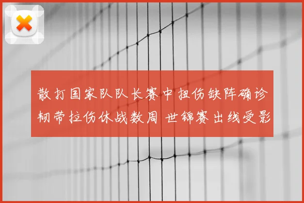 散打国家队队长赛中扭伤缺阵确诊韧带拉伤休战数周 世锦赛出线受影响