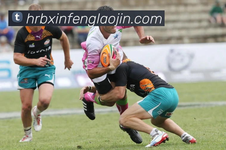 多媒体互动体验